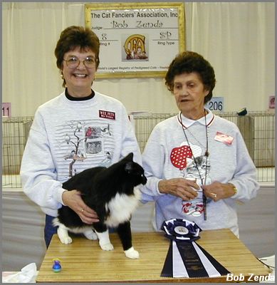 Half&Half BestHHPet
